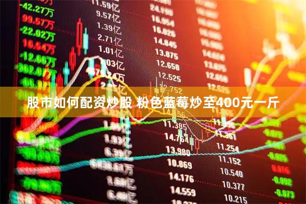 股市如何配资炒股 粉色蓝莓炒至400元一斤
